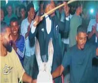 "دخل بحماره".. عريس يدخل حفل زفافه على ظهر حمار بقنا 