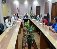 نائب محافظ الدقهلية يترأس اجتماع الجهاز التنفيذي للمنطقة الصناعية