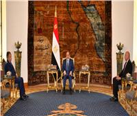 الرئيس السيسي يؤكد دعم مصر الكامل لترشيح نبيل فهمي أميناً عاماً لجامعة الدول العربية