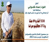 محافظ المنيا: توريد 530 ألف طن قمح منذ بدء الموسم