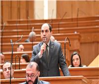 برلماني: التحدي الأبرز هو تحقيق مستهدفات النمو الاقتصادي على أرض الواقع