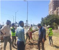 رفع كفاءة حديقة "صينية الوليدية" بحي شرق أسيوط 