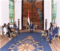 الرئيس السيسي يؤكد على توفير الحماية الدولية للاجئين وفقا للقانون