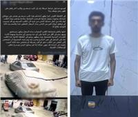 ضبط ناشر فيديوهات قديمة عن الكلاب الضالة بالقاهرة لتحقيق مشاهدات وأرباح مالية