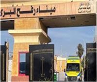       مصر تواصل تقديم المساعدات الإنسانية لدعم الأشقاء الفلسطينيين في غزة