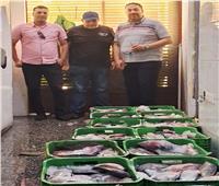ضبط 425 كيلو أسماك غير صالحة بأحد مطاعم مدينة أسيوط 