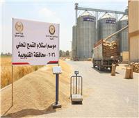 موسم الخير.. القليوبية تسجل توريد أكثر من 93.5 ألف طن قمح 