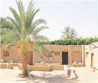 سيمفونية الرمل والنخيل «الخارجة» رحلة في جوف الصحراء الغربية
