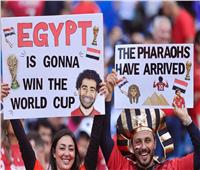 كأس العالم 2026.. شاهد الجماهير المصرية من مدرجات ملعب مباراة إيران 