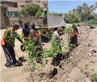 محافظة الجيزة: إطلاق مبادرة «ازرع شجرة» بأبو النمرس لتعزيز المشاركة المجتمعية 