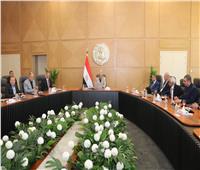 وزير الكهرباء يبحث مع خبراء الجامعات الاستفادة من الدراسات لدعم الطاقة المتجددة