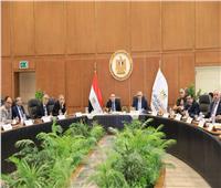 بمشاركة رئيس جامعة العريش.. المجلس الأعلى للجامعات يناقش مستجدات التعليم العالي