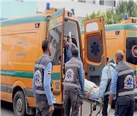 مصرع سيدة وإصابة 3 أشخاص في تصادم سيارة ملاكي وتوكتوك على طريق أجا بالدقهلية
