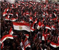 التموين في ذكرى 30 يونيو: الغذاء يمثل أحد ركائز الأمن القومي
