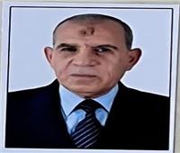 السيرة الذاتية للمستشار ربيع لبنه الرئيس الجديد لمحكمة النقض