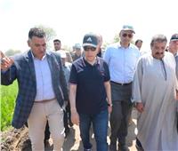 تنمية البحيرات يشارك في تدشين مشروع زراعة أسماك البلطي في حقول الأرز بالغربية