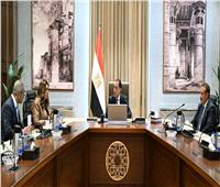 رئيس الوزراء يتابع الموقف الحالي للمشروعات الجاري تنفيذها بمحافظة بورسعيد 