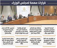 مدبولى: إعادة ترتيب أولويات الإنفاق ورخصة ذهبية لمصنعين لبطاريات الطاقة