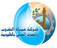 رئيس «مياه القليوبية» يتابع أعمال إصلاح كسر بخط مياه رئيسي بمركز قليوب
