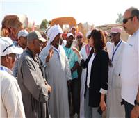 محافظة الجيزة تتابع انتظام منظومة ركوب الخيل والجمال