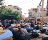 طهطا تستقبل آلاف الزوار في الليلة الختامية لمولد سيدي أبو القاسم| فيديو