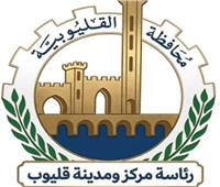 محافظ القليوبية يتابع الحالة الصحية لمدير إدارة الأزمات بعد إصابته أثناء إزالة جمالون مخالف