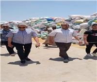 صوامع وشون محافظة الشرقية تستقبل أكثر من 672 ألف طن قمح محلي