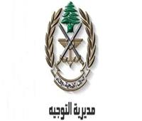  الجيش اللبنانى: تفكيك 4 قنابل طيران غير منفجرة في النبطية وبنت جبيل