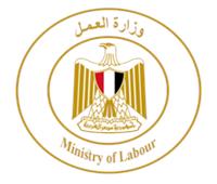 برواتب تبدأ من 10400 جنيه.. «العمل» تعلن عن وظائف حرفية ومساعدين بمشروع الضبعة