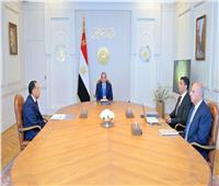 الرئيس السيسي يشدد على تعميق الصناعات المغذية وتقليل الاعتماد على الواردات