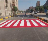 محافظ الجيزة: تطوير ورصف شارع الكيلاني ضمن خطة رفع كفاءة الشوارع بالمنيرة