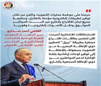بنداري: حوكمة التصويت الإلكتروني أبرز ملامح التجربة المصرية في انتخابات الخارج