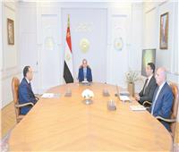 الرئيس: ضرورة العمل بجدية على تذليل أى عقبات تواجه المستثمرين والاهتمام بالتدريب المهنى