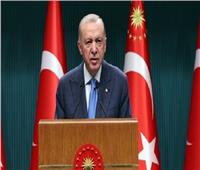 أردوغان: نعمل على تعزيز التعاون بين دول الناتو في المجال الدفاعي