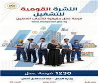 1230 فرصة عمل جديدة بـ 24 شركة خاصة في 9 محافظات.. التقديم خلال يوليو الجاري