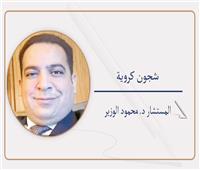           حين تُسْحَق العدالة.. التفرقة الجيو- اقتصادية فى مباراة مصر والأرجنتين