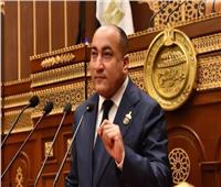 برلماني: العلمين الجديدة قدمت نموذجًا حيًا للجمهورية الجديدة