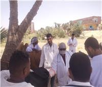 نقابة البيطريين في أسوان تنظم قوافل بيطرية علاجية مجانية 