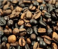 ضبط طن بن مغشوش قبل طرحه بالأسواق في القليوبية 