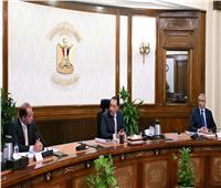 رئيس الوزراء يتابع مستجدات الموقف التنفيذي لمشروعات الطاقة الجديدة