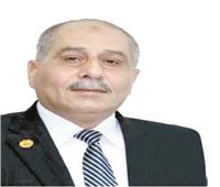اللواء إبراهيم عثمان:«الأوكتاجون» نقل العقيدةمن حراسة الحدود إلى إدارة الوجود