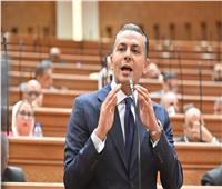 زعيم الأغلبية: مشروع قانون جهاز مستقبل مصر يحقق التوازن بين الاستثمار والرقابة