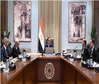 مدبولي: كل الدعم لإنجاح تطبيق الحزمة الثانية من التسهيلات الضريبية