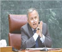 نبيل فهمى: تشكيل مجلس حكماء وخارطة طريق جديدة لـ «بيت العرب»
