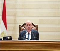"النواب" يواصل مناقشة مواد مشروع قانون بإعادة تنظيم جهاز مستقبل مصر