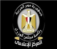 الوزراء: الاقتصاد والطاقة والتموين الأكثر استهدافًا بالشائعات خلال النصف الأول من 2026