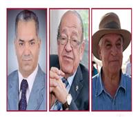 «الأعلى للإعلام» يحسم شكوى «حواس والدماطي» ضد وسيم السيسي