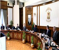 رئيس الوزراء يتابع موقف الإعداد لتنفيذ التعداد العام للسكان والإسكان والمنشآت 2027