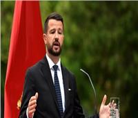 رئيس الجبل الأسود: توافق كبير مع القاهرة بشأن تغليب الحلول الدبلوماسية على خيار الحرب