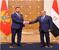 رئيس الجبل الأسود: توافق كبير مع القاهرة بشأن تغليب الحلول الدبلوماسية على خيار الحرب